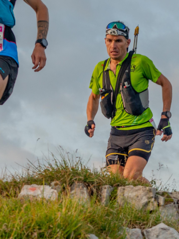 Diseño sin título - 2024-10-30T195136.589